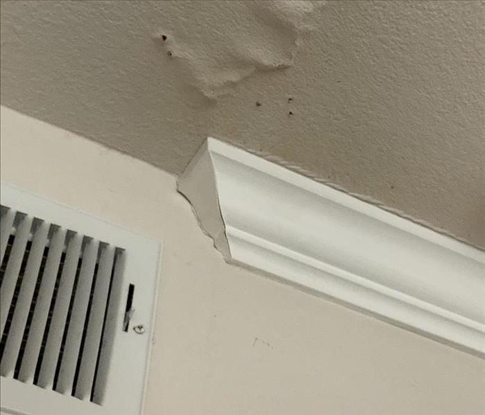 when we discovered Mold related to water damage 