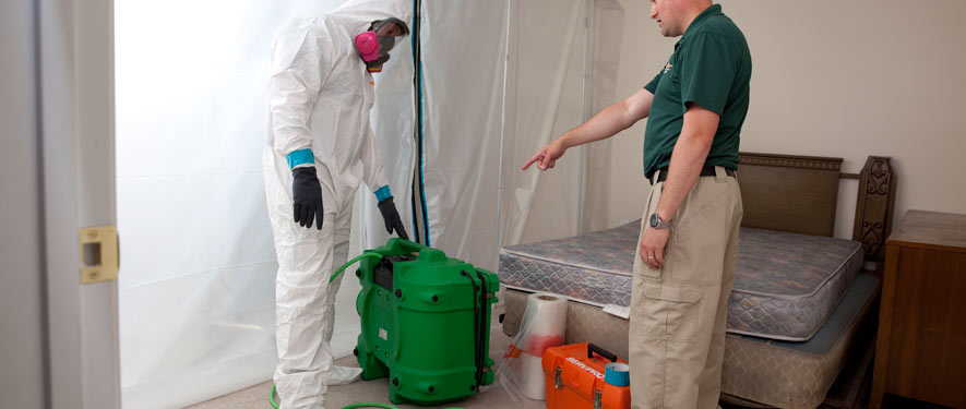 Mountain View, CA mold removal process